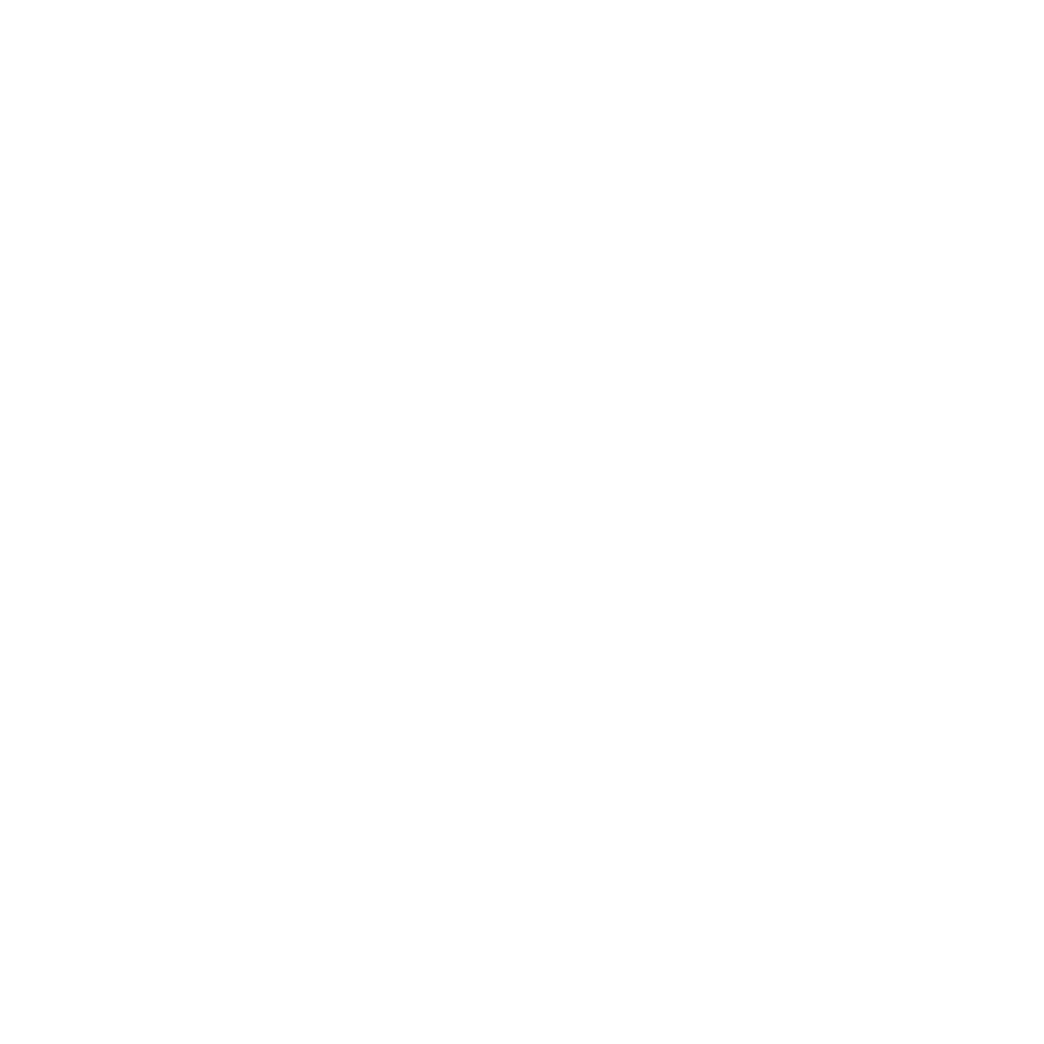 White logo for project: Next Chapter Writers’ Summit 2026 Writing Contest